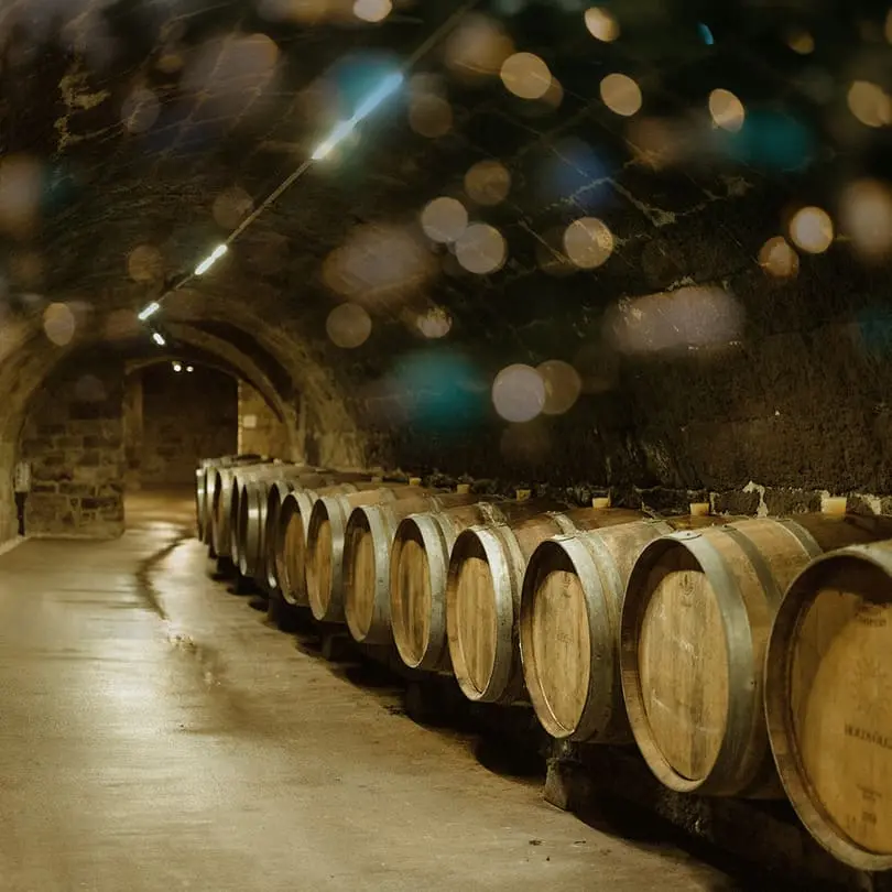 Domaine Holdvölgy Tokaj cave moderne biodynamique