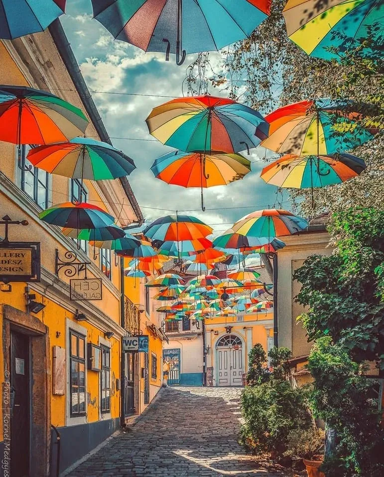Excursion à Szentendre et au coude du Danube avec guide en français