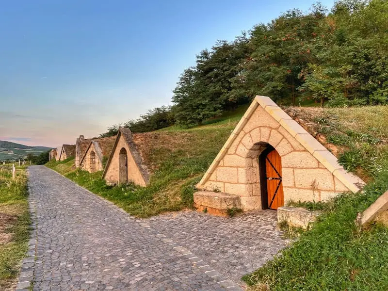 Excursion dans le vignoble UNESCO de Tokaj avec guide en français
