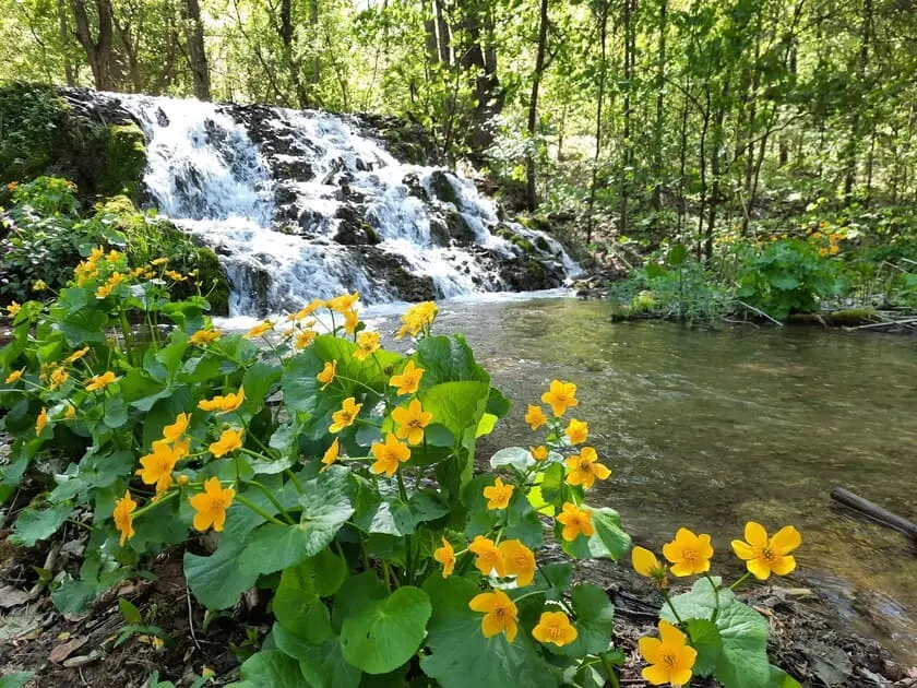 Cascade Fátyol Szilvásvárad — vallée de Szalajka forêt de Bükk